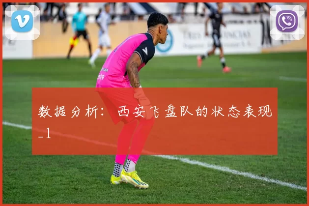 数据分析：西安飞盘队的状态表现_1