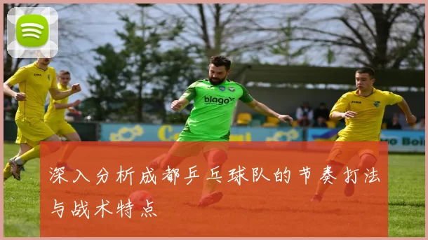 深入分析成都乒乓球队的节奏打法与战术特点