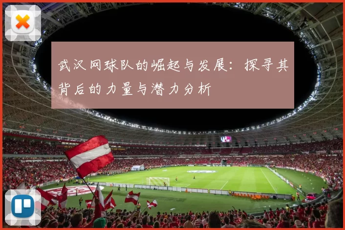 武汉网球队的崛起与发展：探寻其背后的力量与潜力分析