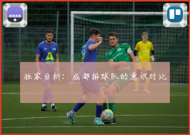 独家分析：成都排球队的意识对比