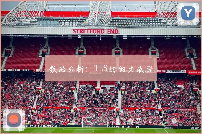 数据分析：TES的耐力表现