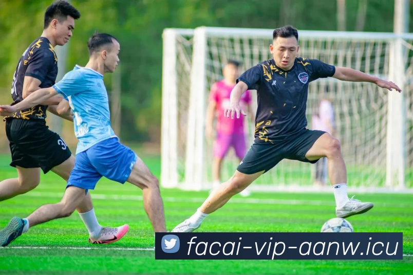 App Interface Preview